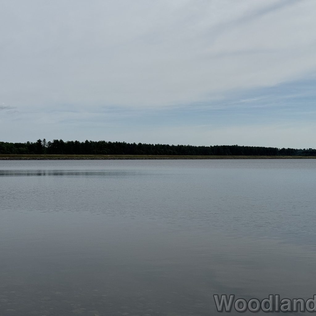2025-07-05_101215_00