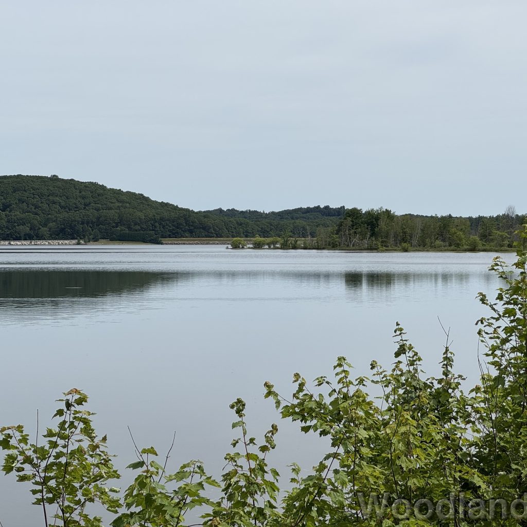 2025-07-05_103638_00