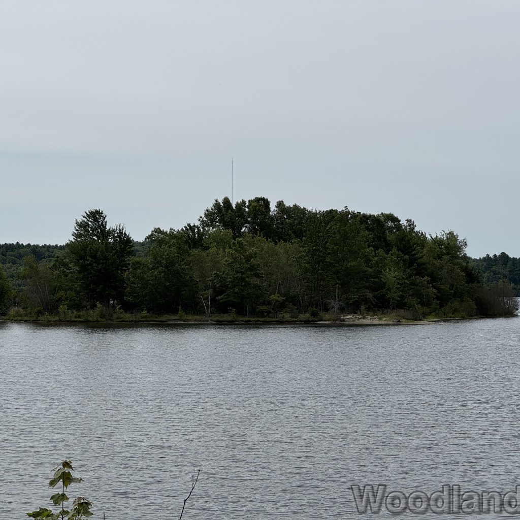 2025-07-05_104438_00
