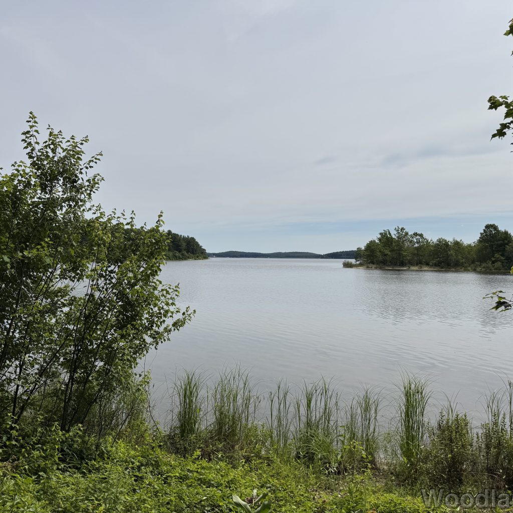 2025-07-05_104949_00