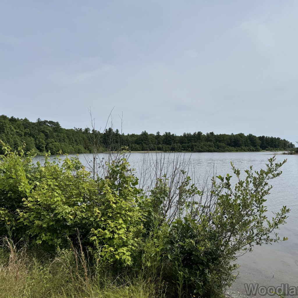 2025-07-05_105147_00