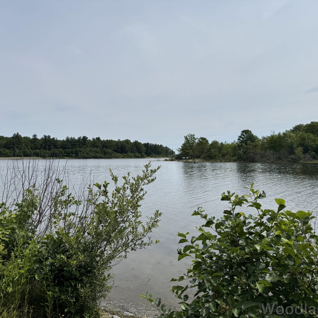 2025-07-05_105149_00