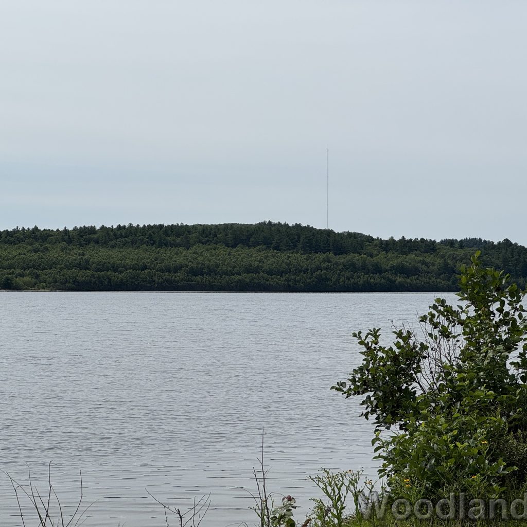 2025-07-05_105201_00