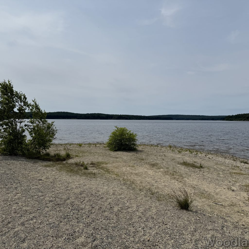 2025-07-05_110353_00