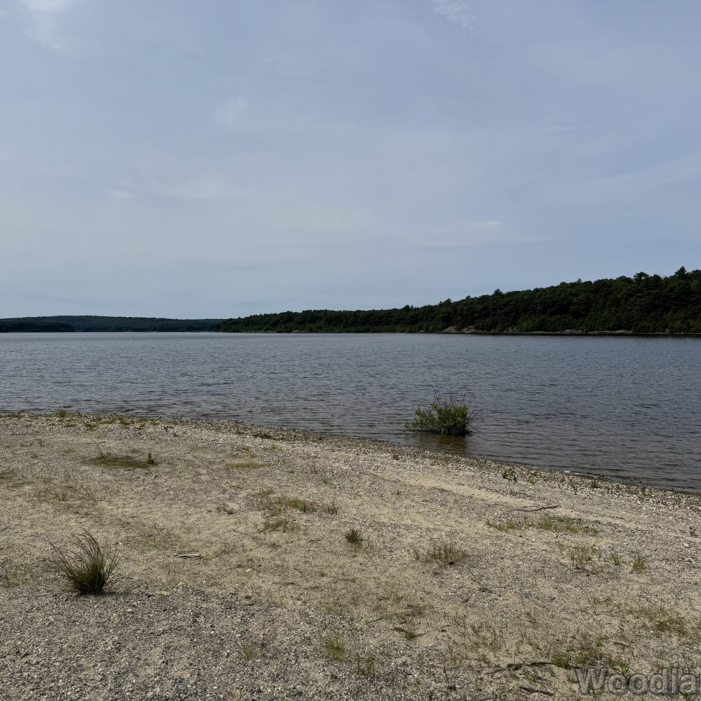 2025-07-05_110356_00