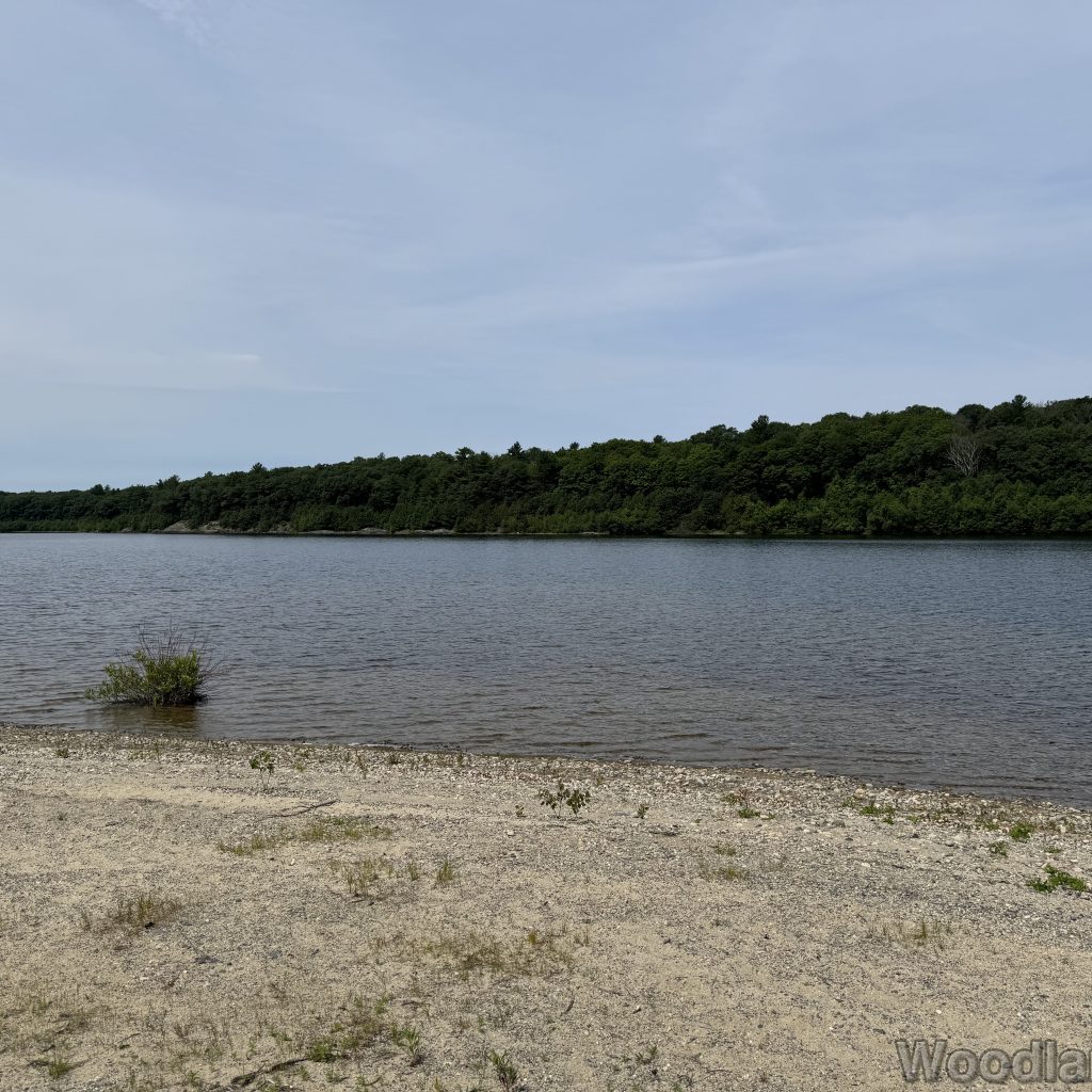 2025-07-05_110357_00