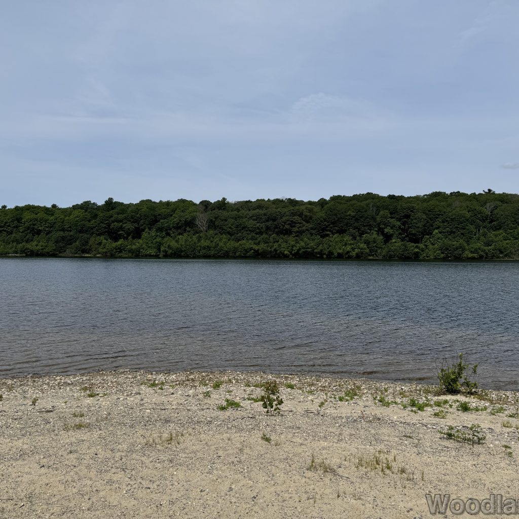 2025-07-05_110359_00