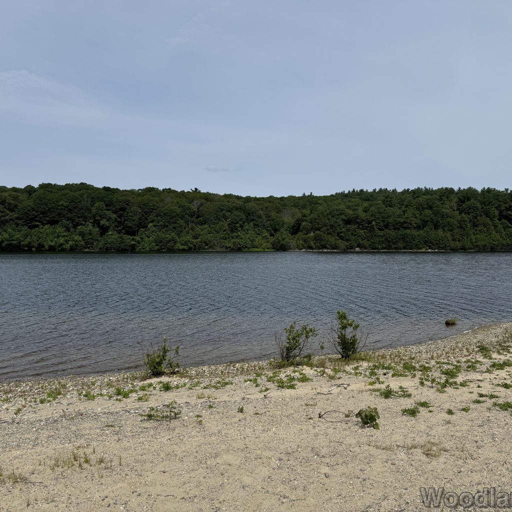 2025-07-05_110401_00