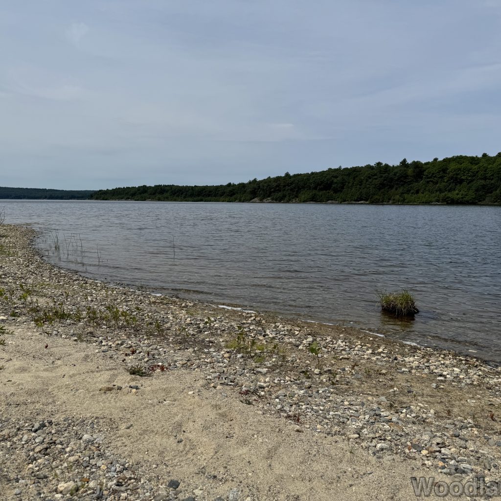 2025-07-05_110514_00