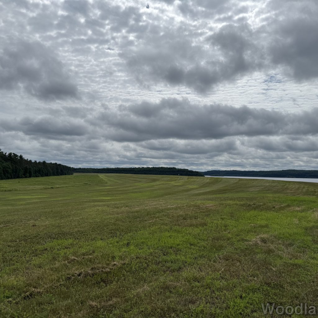 2025-07-13_102206_00