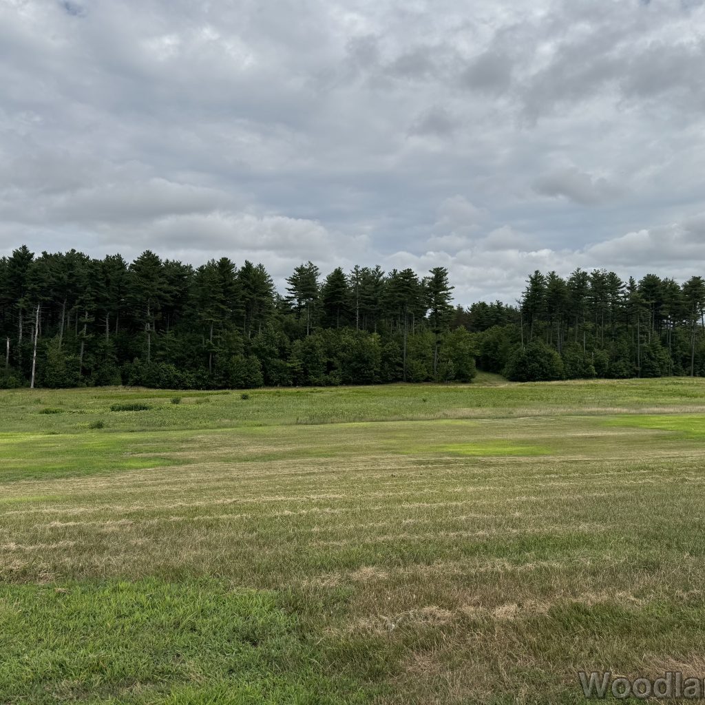 2025-07-13_103937_00