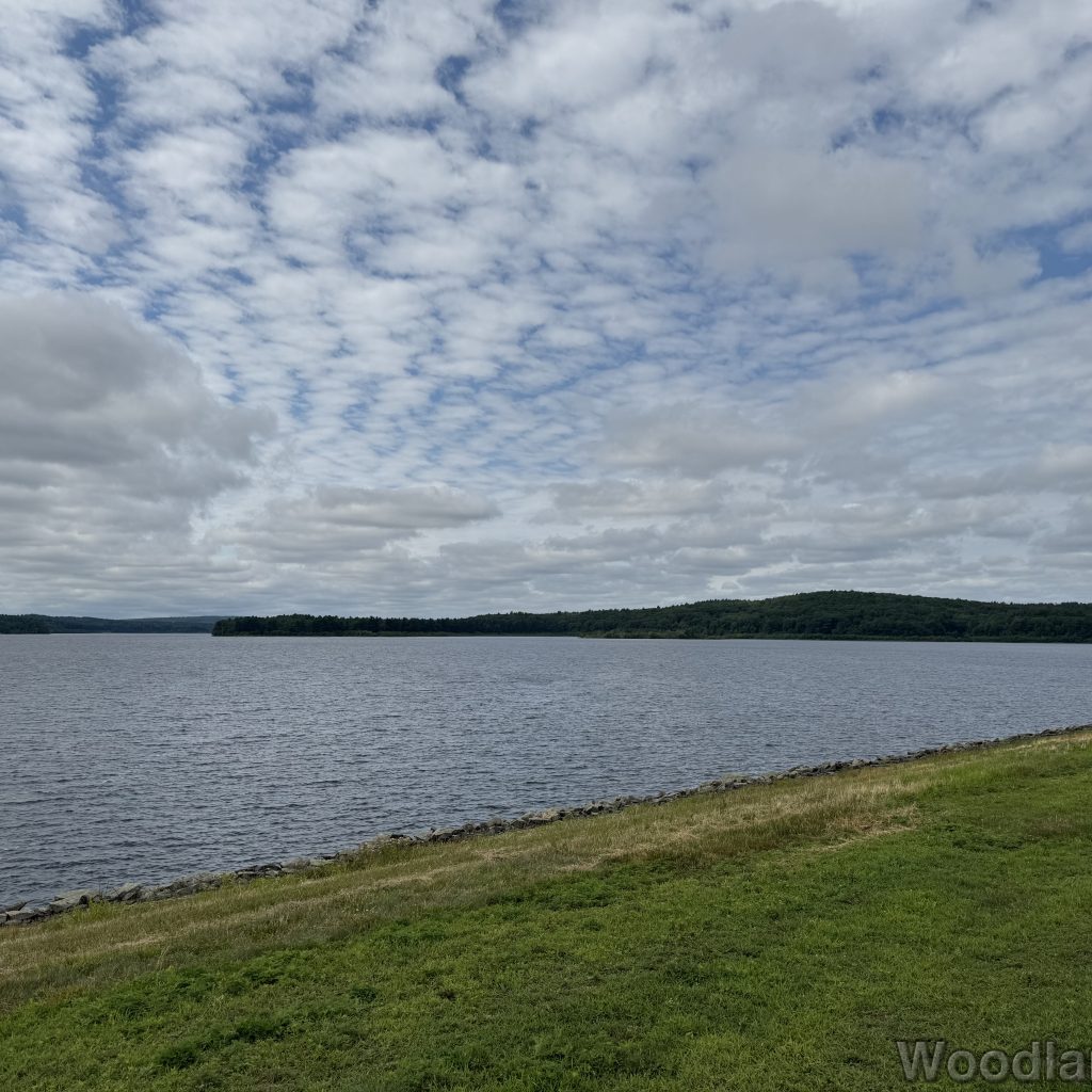 2025-07-13_103958_00