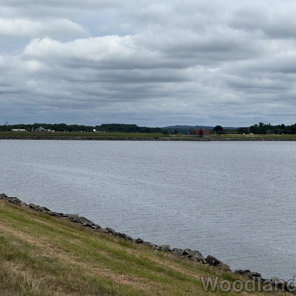 2025-07-13_104654_00