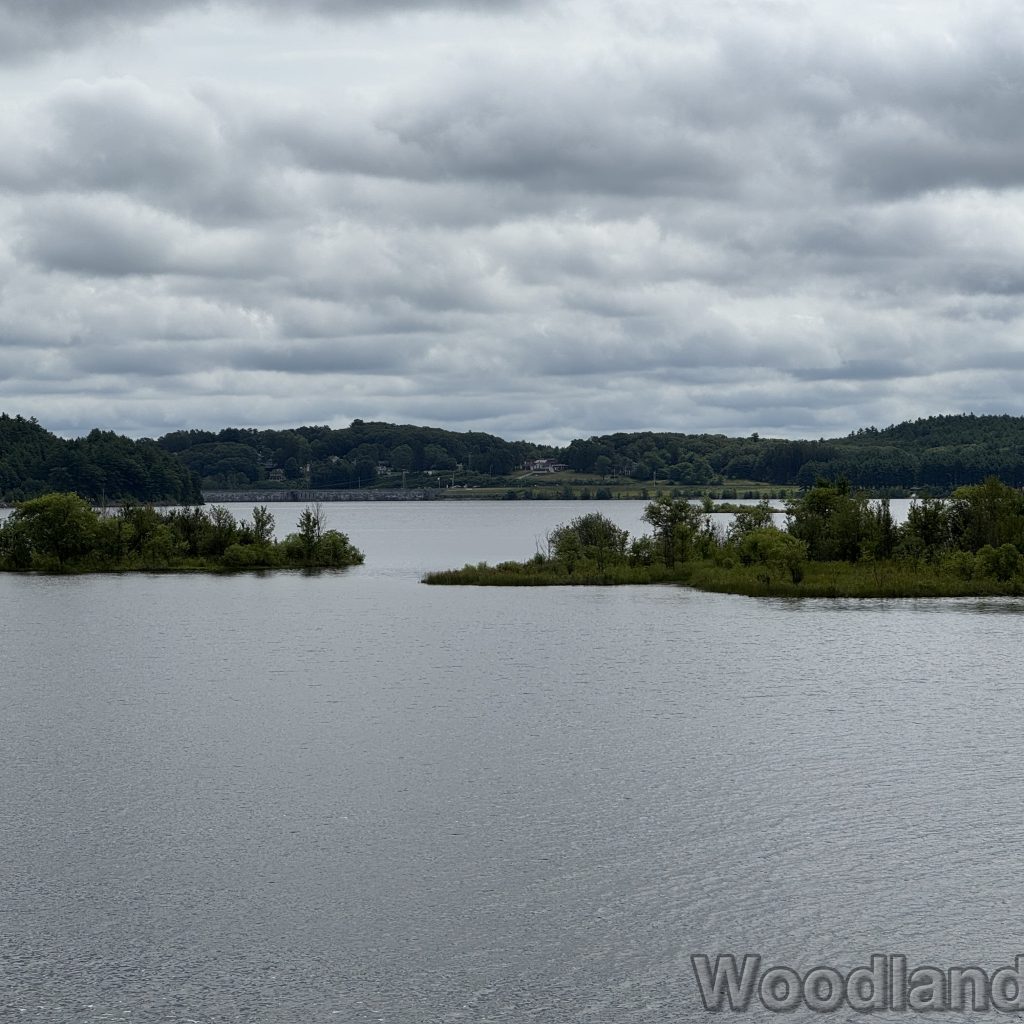 2025-07-13_104827_00