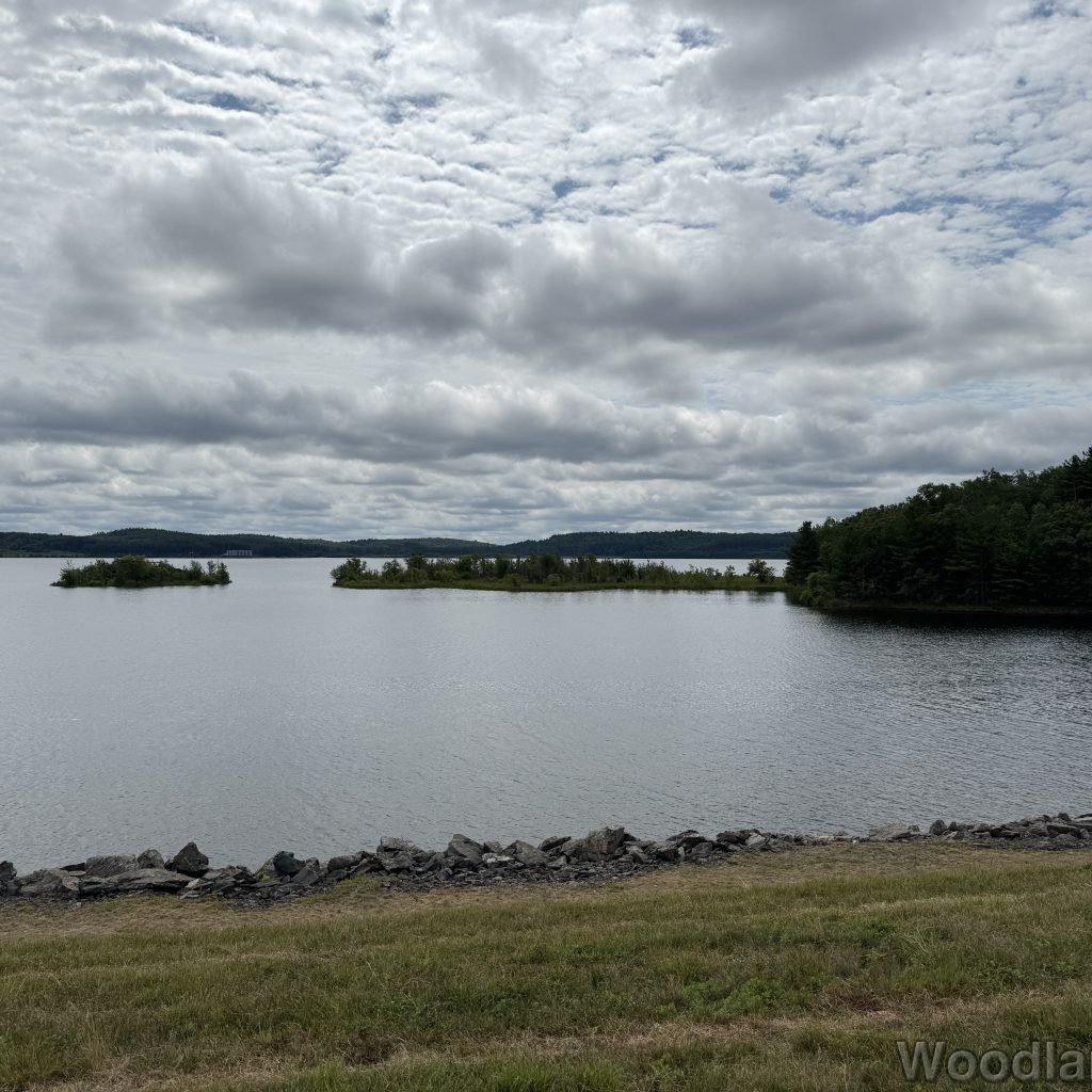 2025-07-13_105054_00