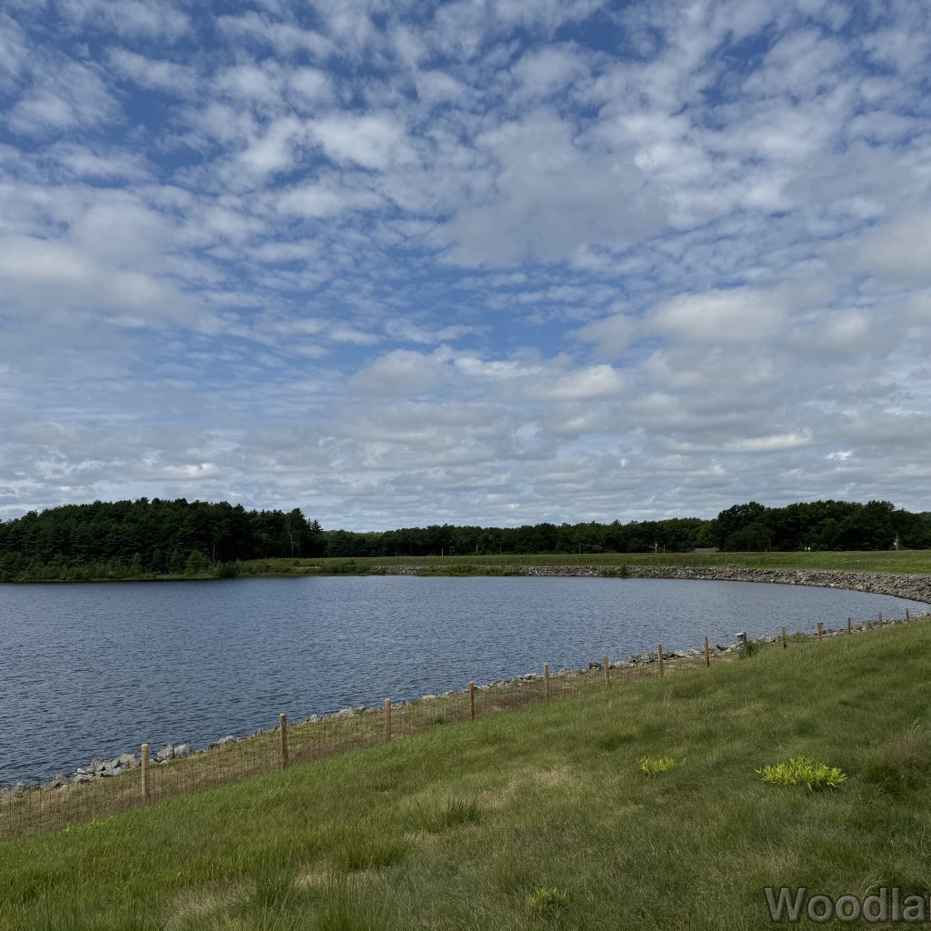 2025-07-13_110523_00