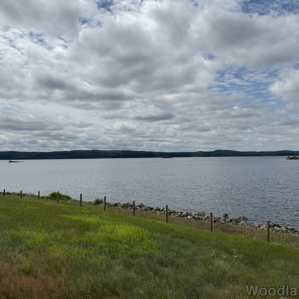 2025-07-13_110532_00