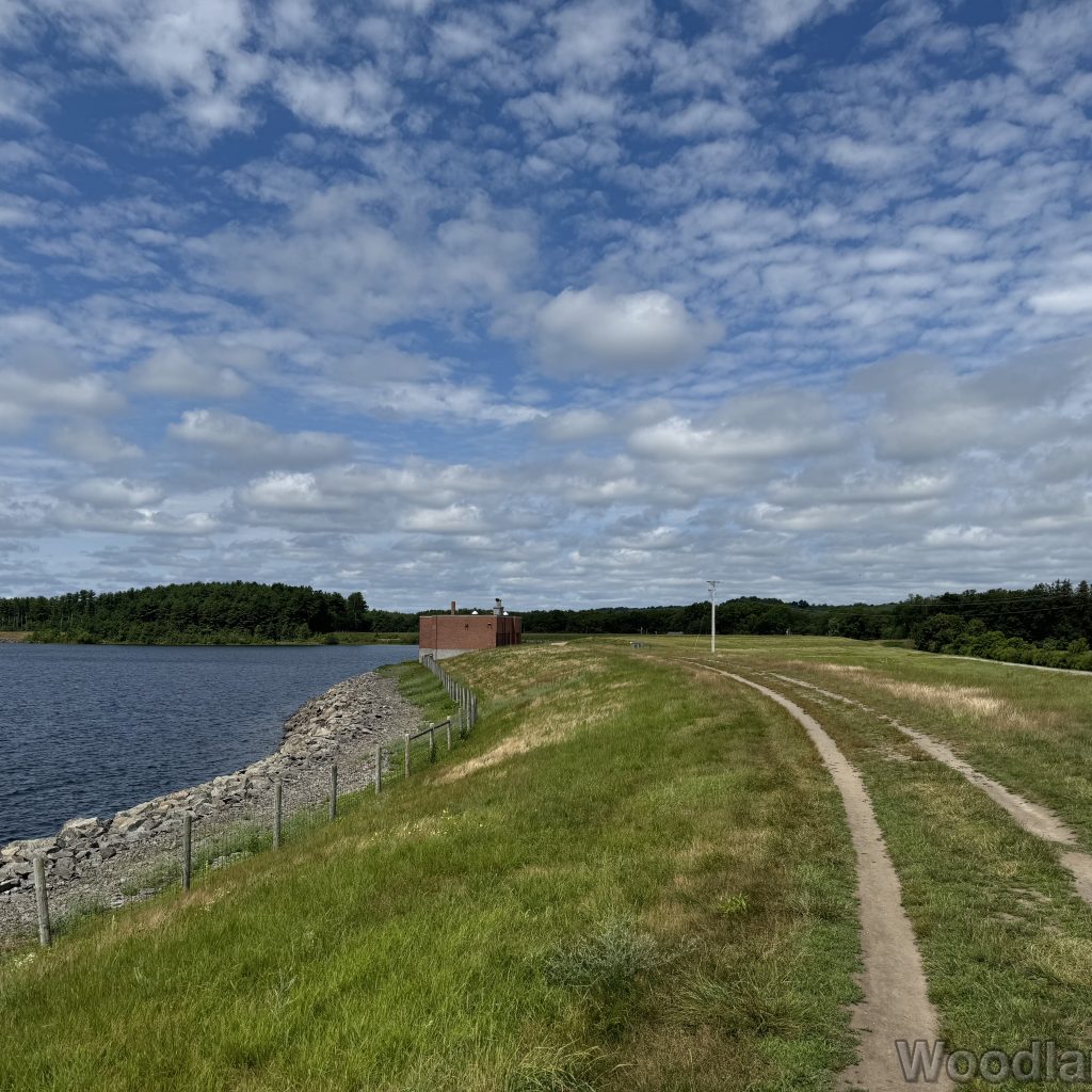 2025-07-13_110919_00