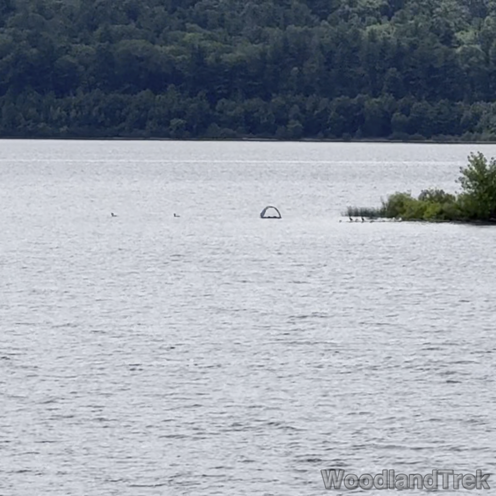 2025-07-13_111105_00