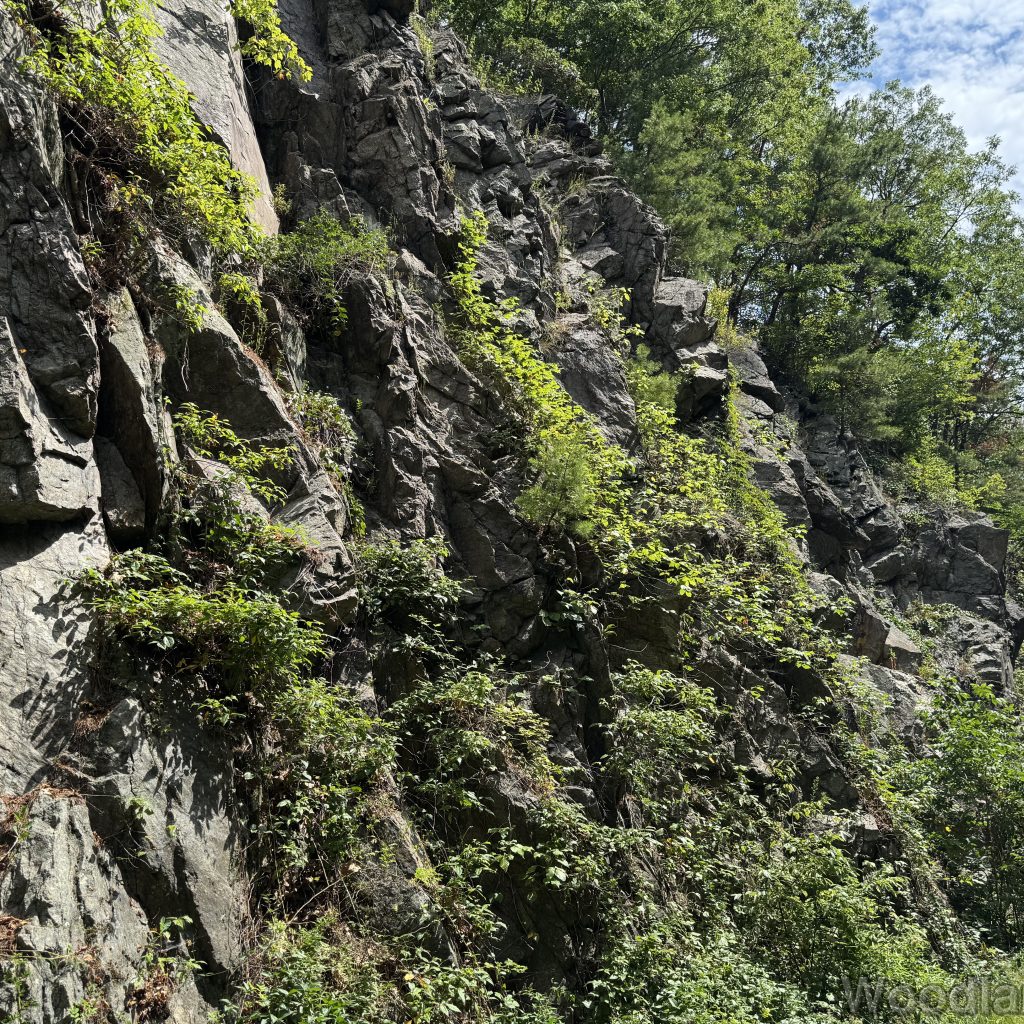 2025-07-13_112532_00