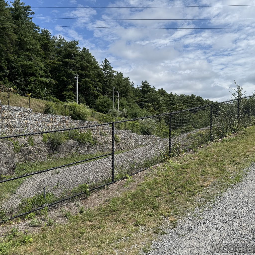 2025-07-13_113145_00