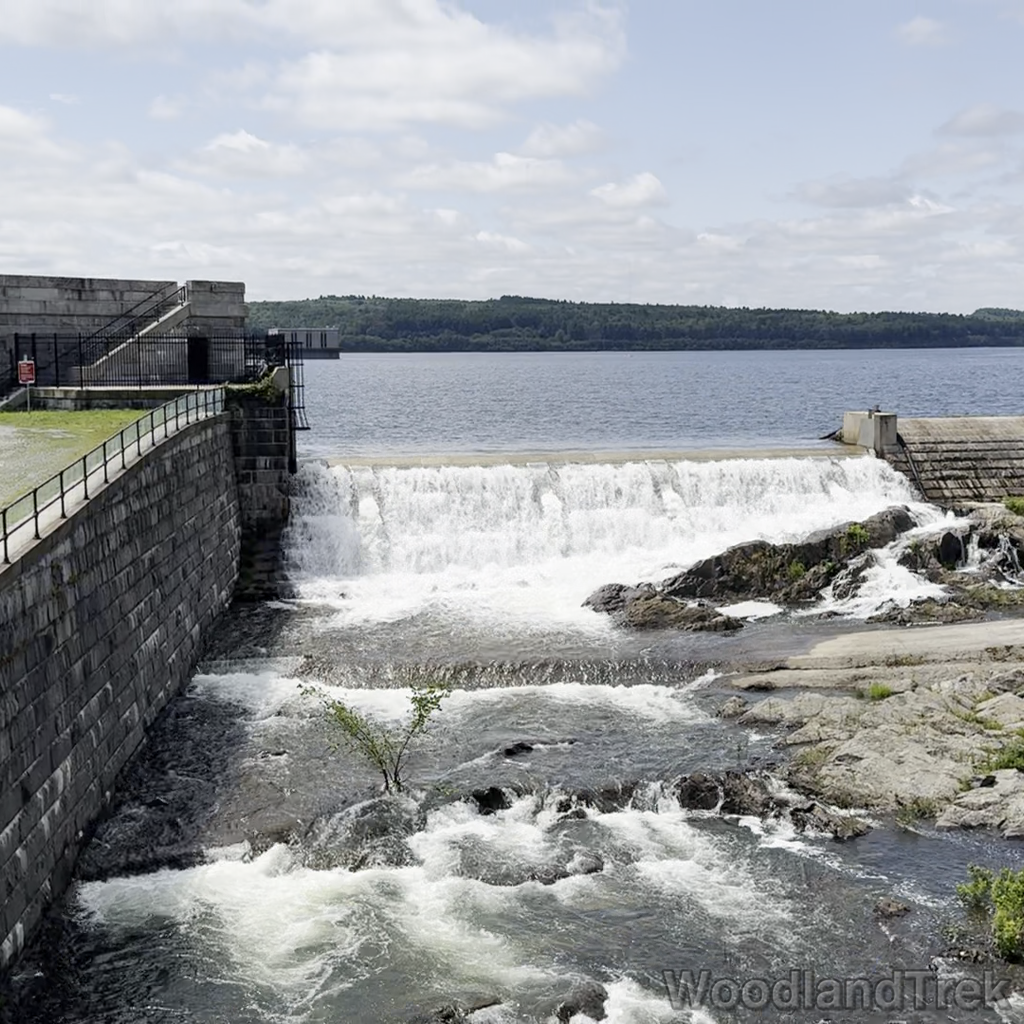 2025-07-13_113316_00