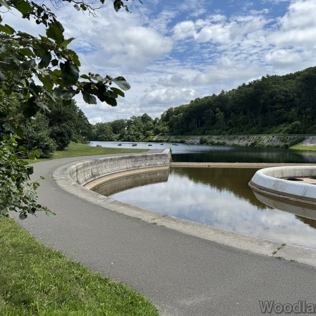 2025-07-13_114517_00
