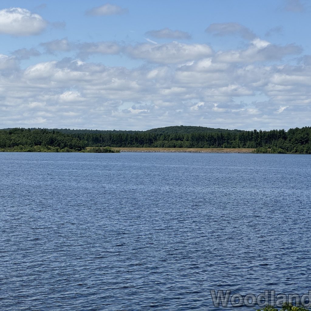 2025-07-13_122724_00