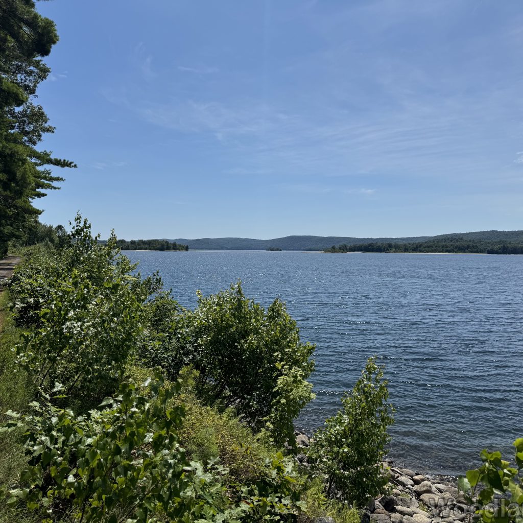 2025-07-19_140542_00
