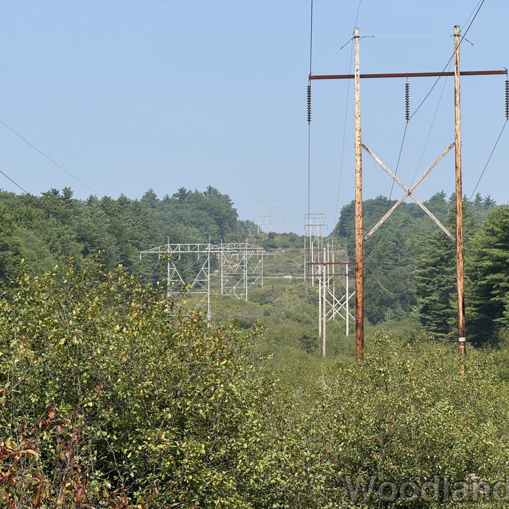 2025-07-26_103512_00