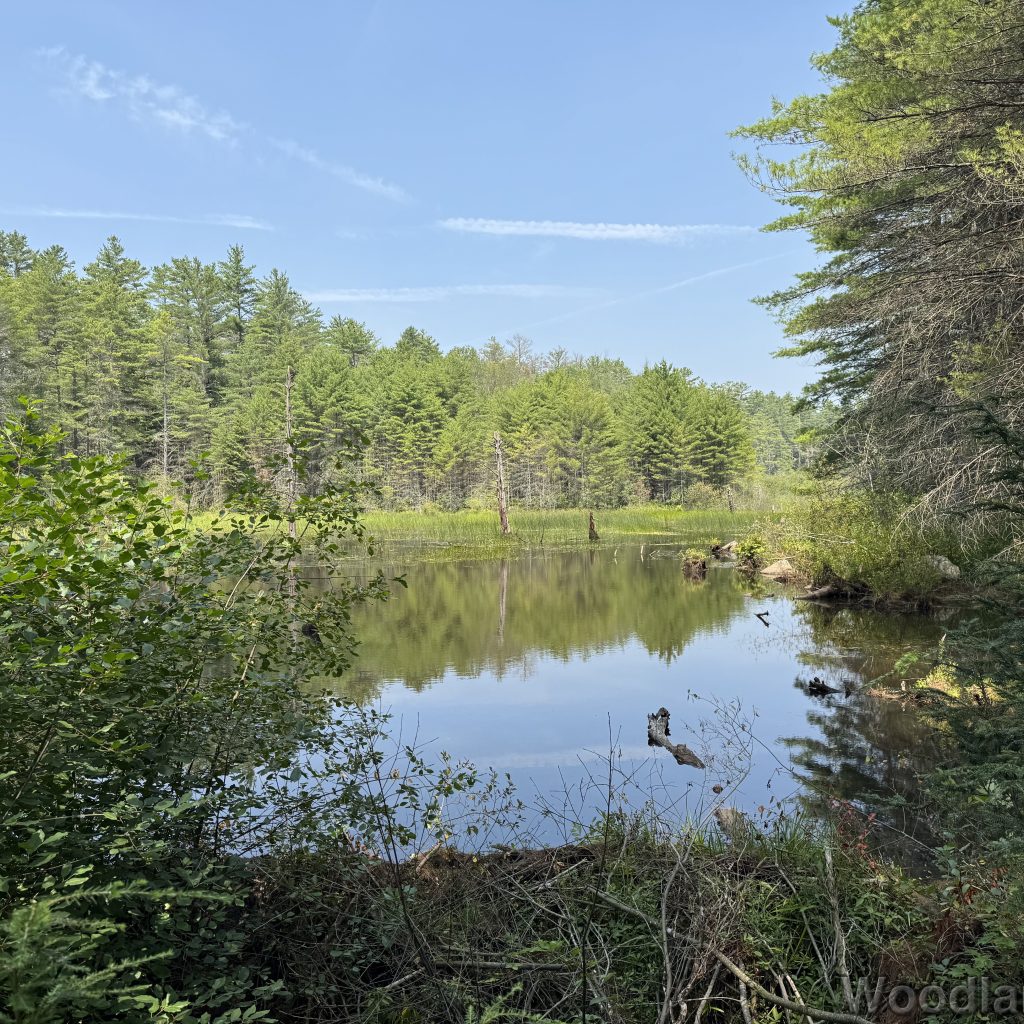 2025-07-26_115413_00