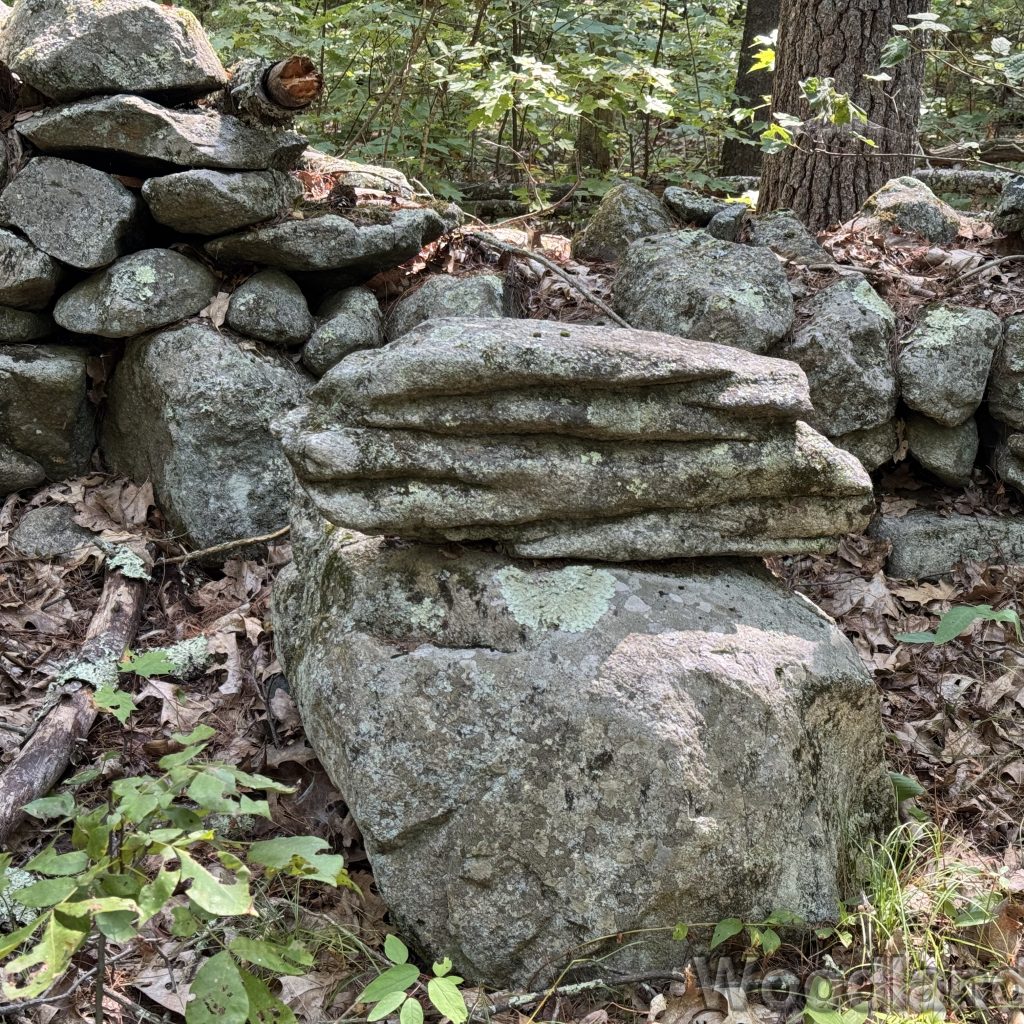 2025-08-09_105040_00