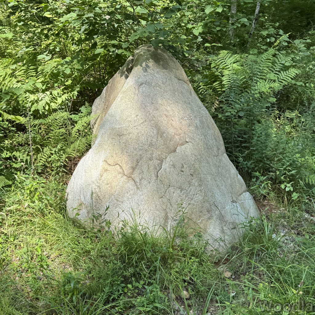 2025-08-09_115736_00