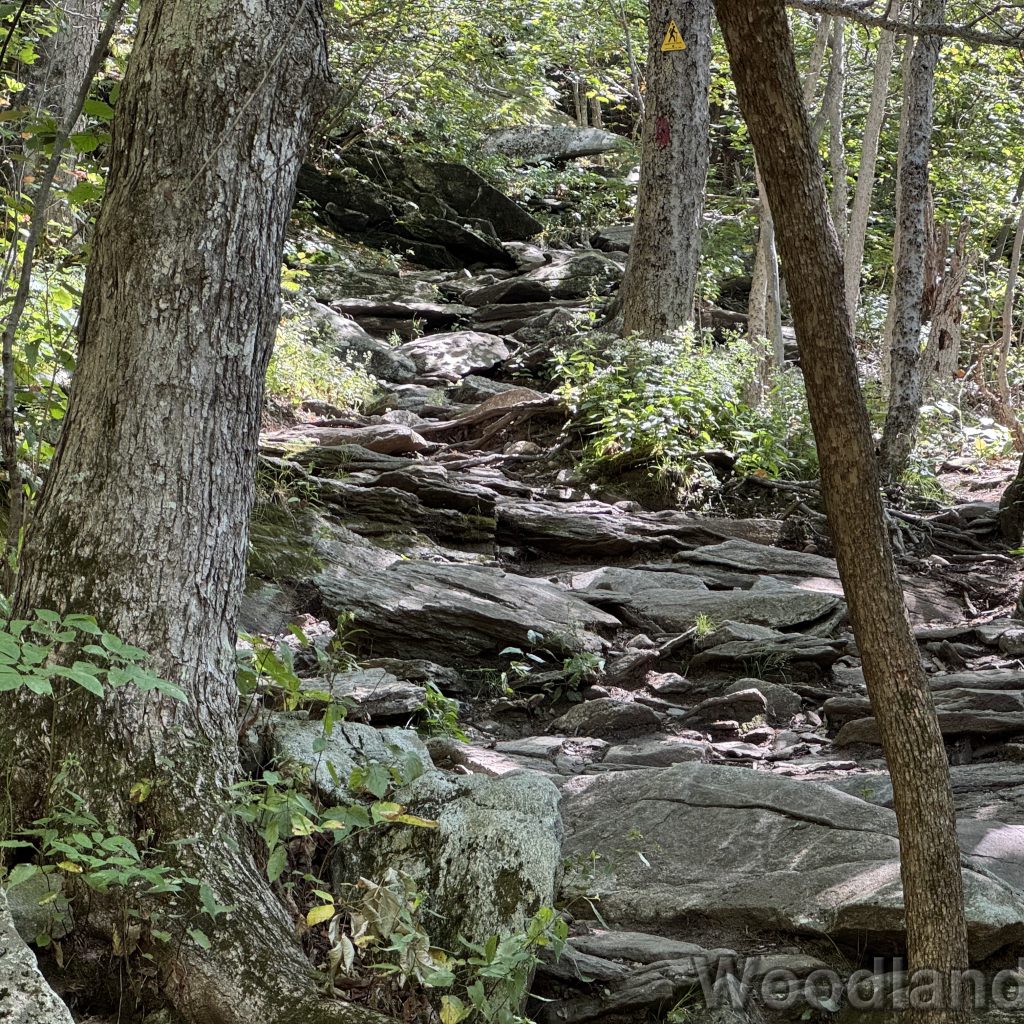 2025-08-22_115137_00