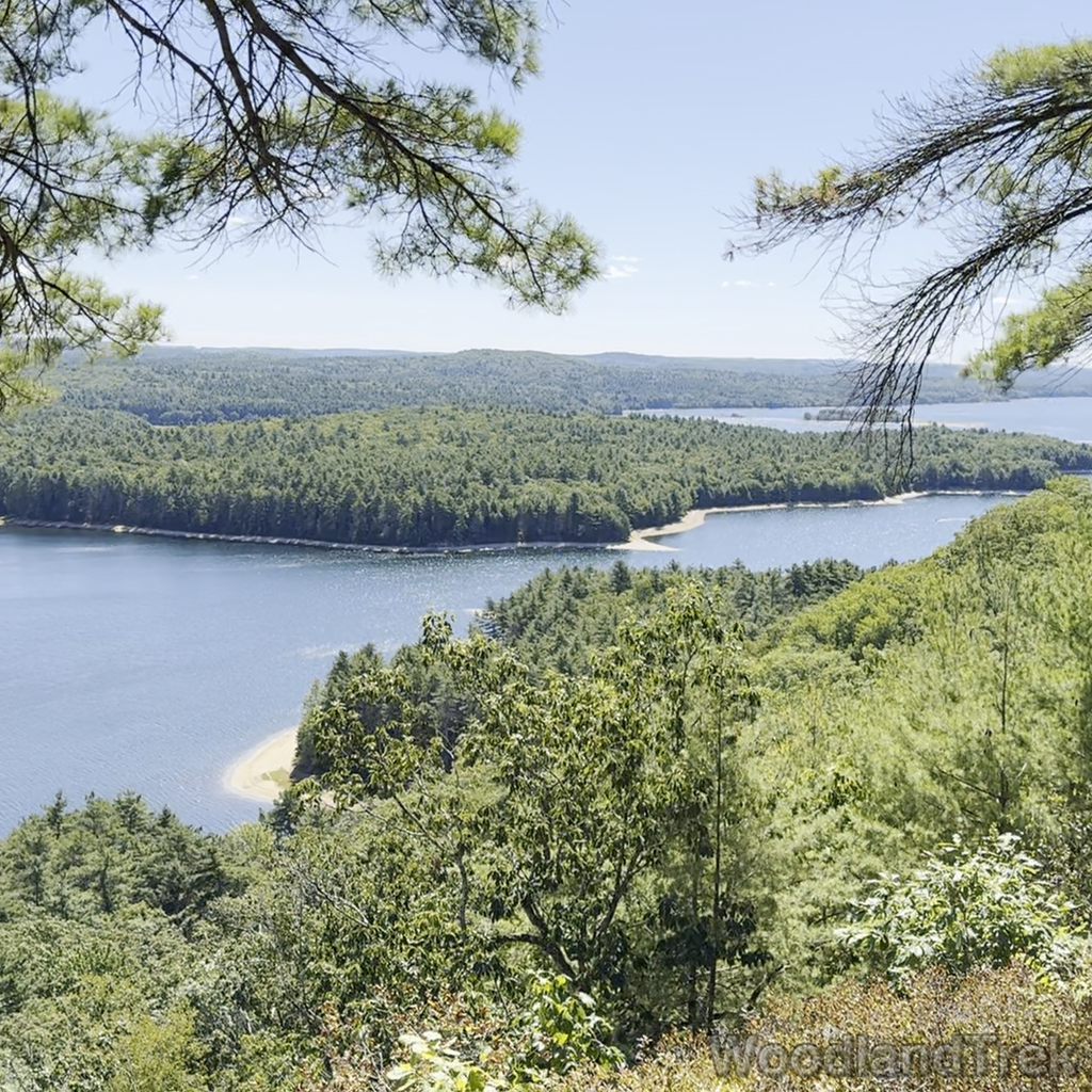 2025-08-31_113148_00