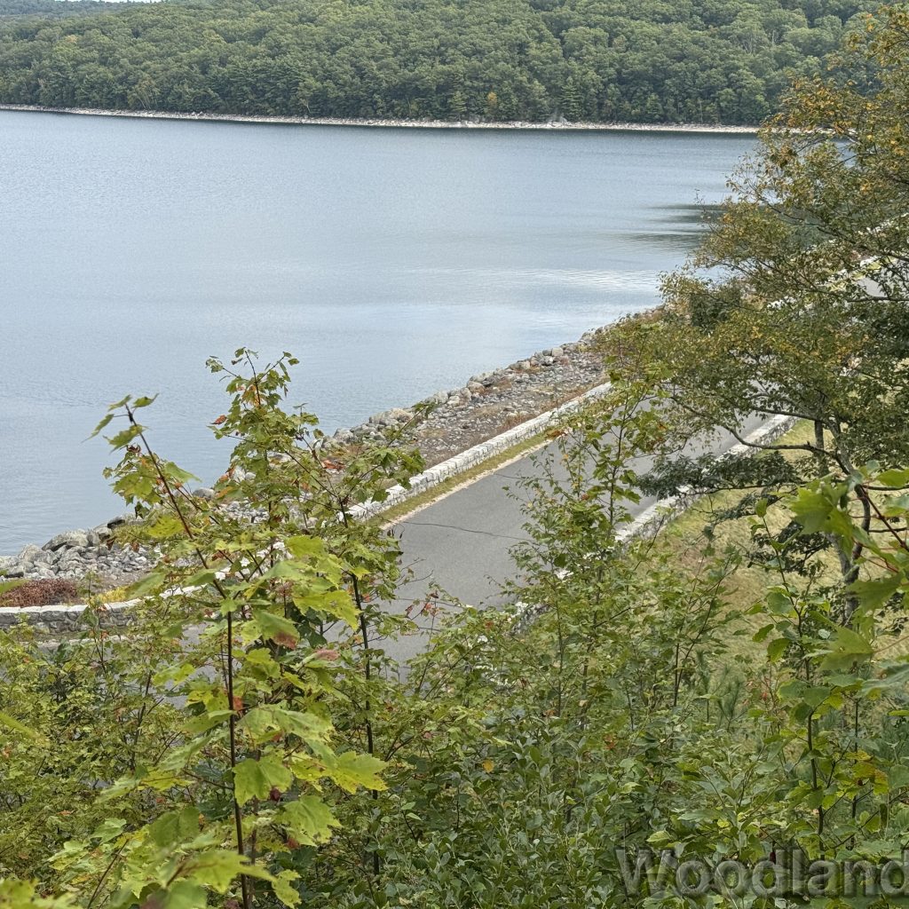 2025-09-13_120133_01