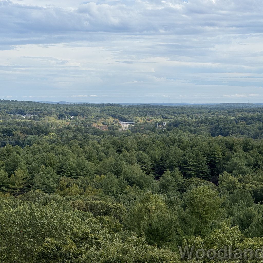 2025-09-17_152348_00