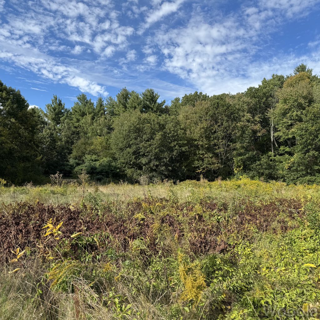 2025-09-17_155344_00