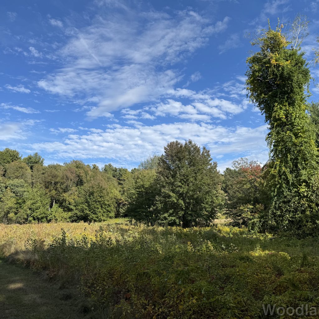 2025-09-17_155803_00