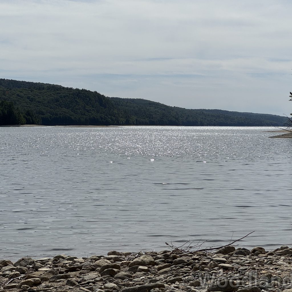 2025-09-21_112526_00