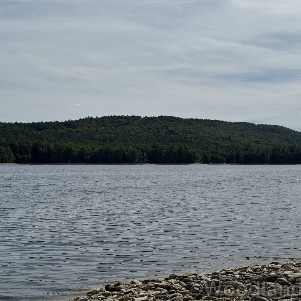 2025-09-21_112537_00