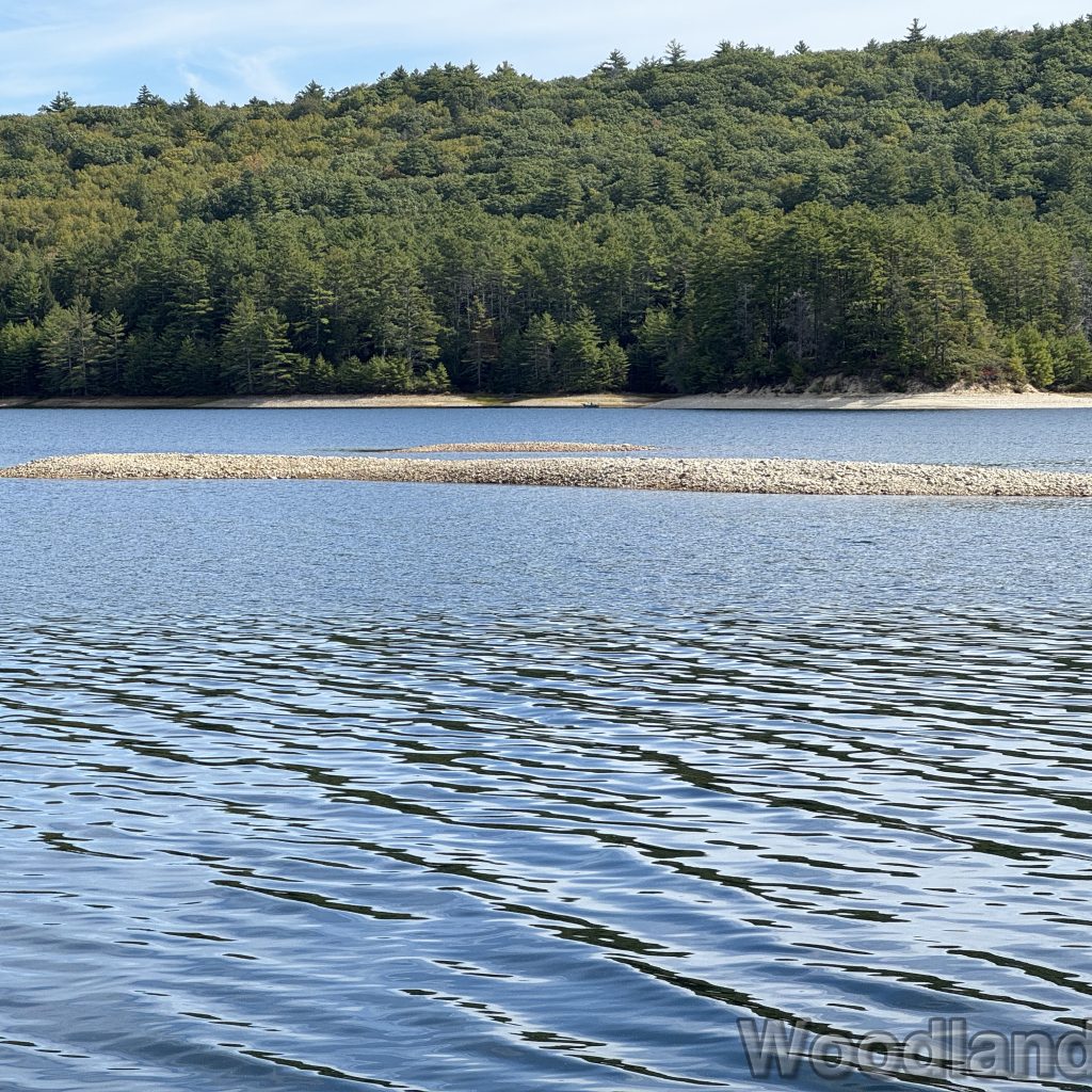 2025-09-21_113133_00