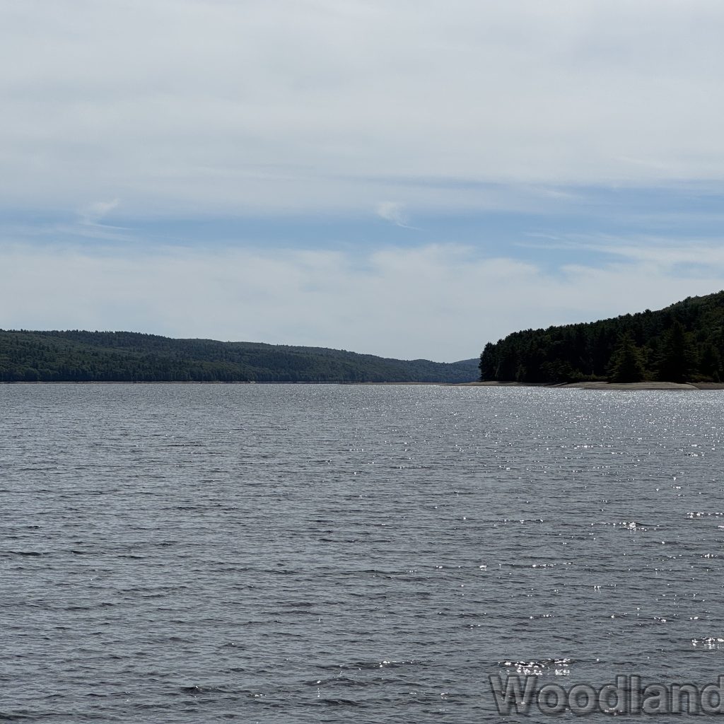 2025-09-21_121918_00