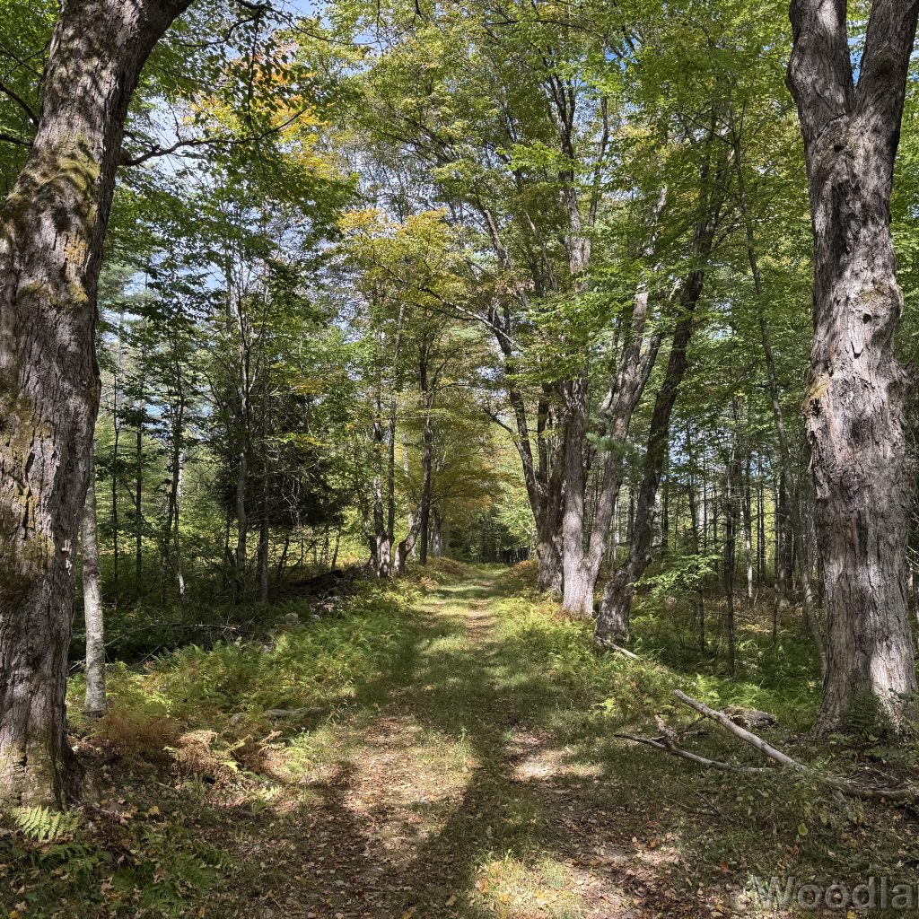 2025-09-21_124356_00