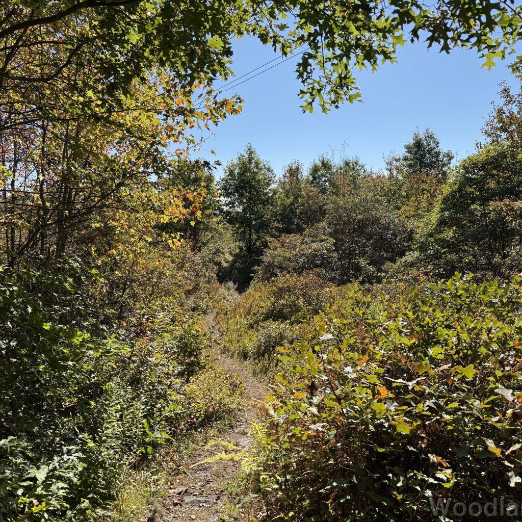 2025-09-28_111434_00