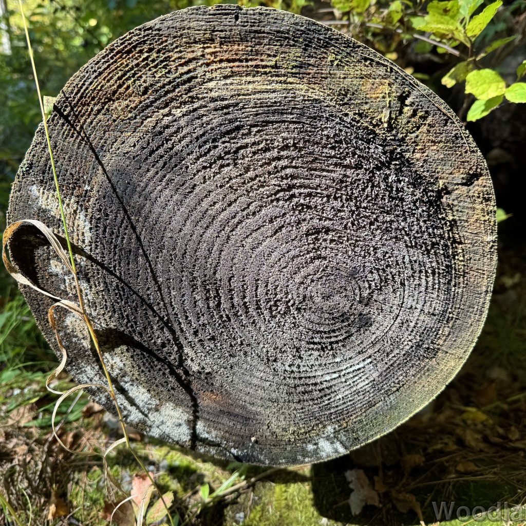 2025-09-28_113935_00