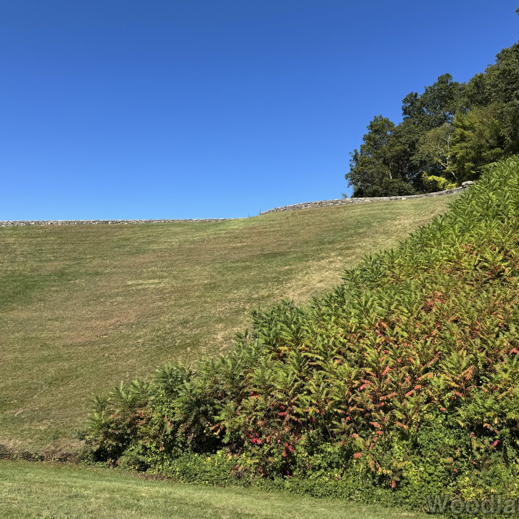 2025-09-28_120628_00
