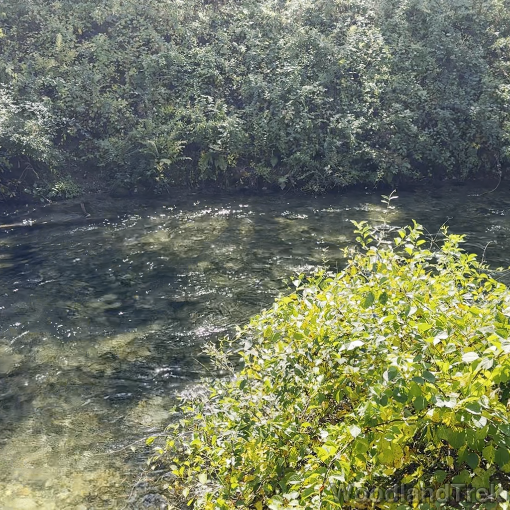 2025-09-28_121940_00