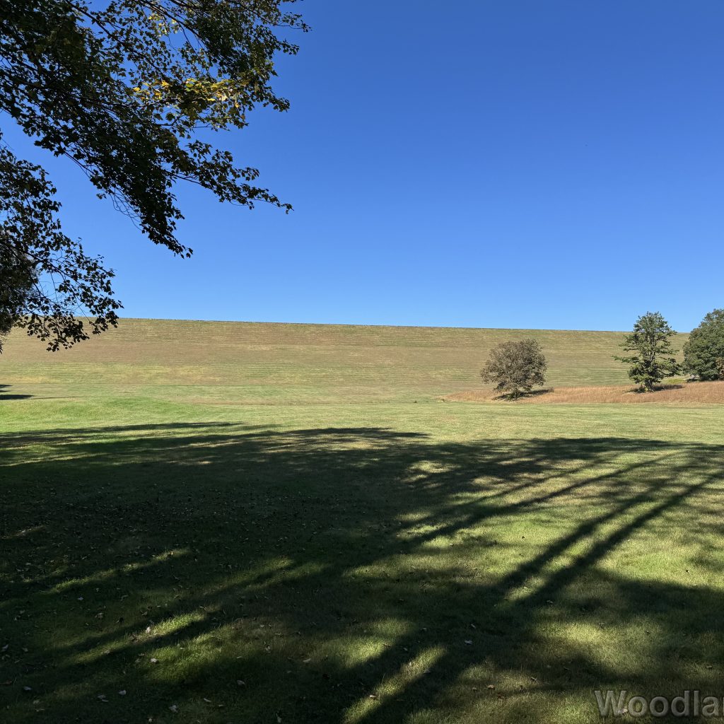 2025-09-28_122430_00