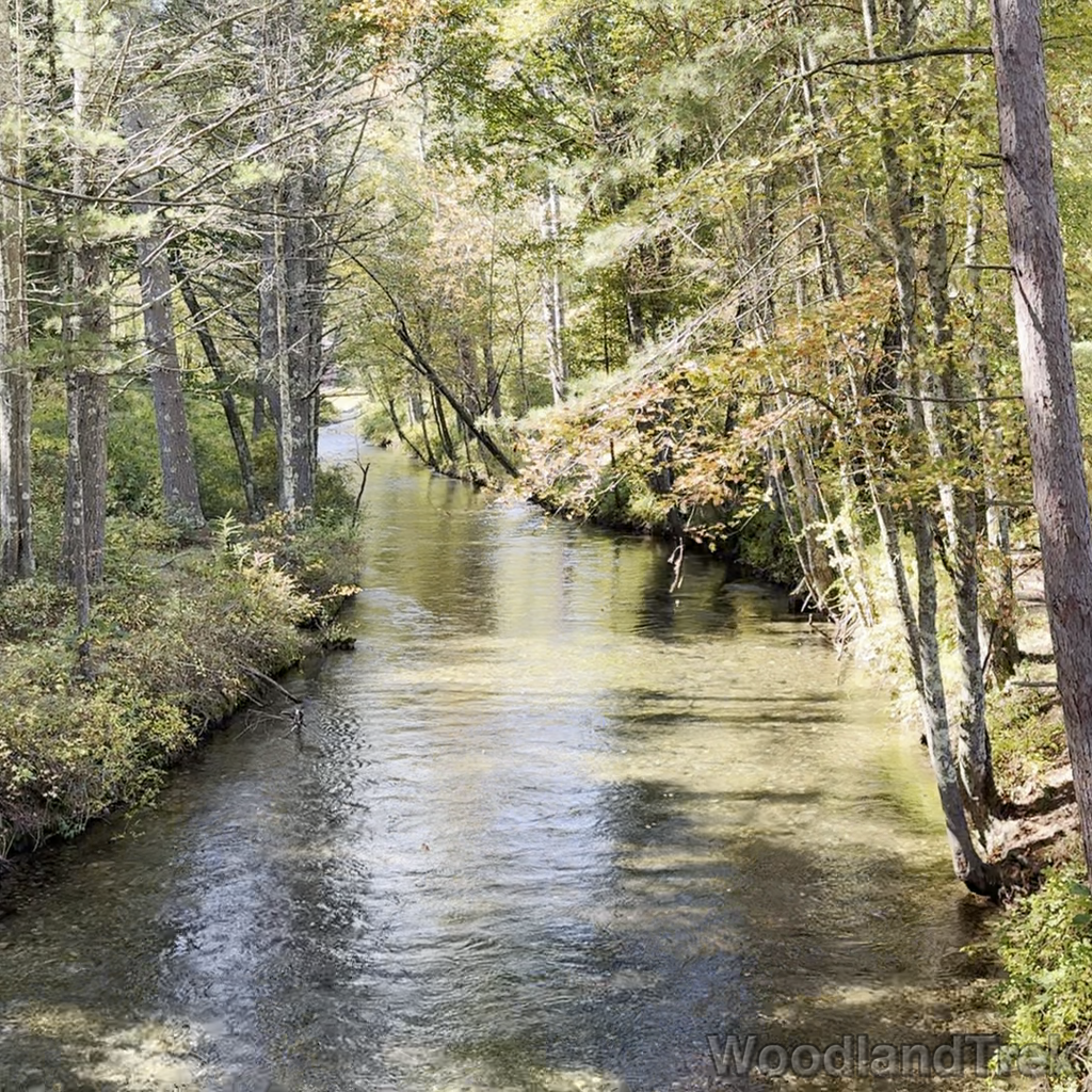 2025-09-28_122505_00